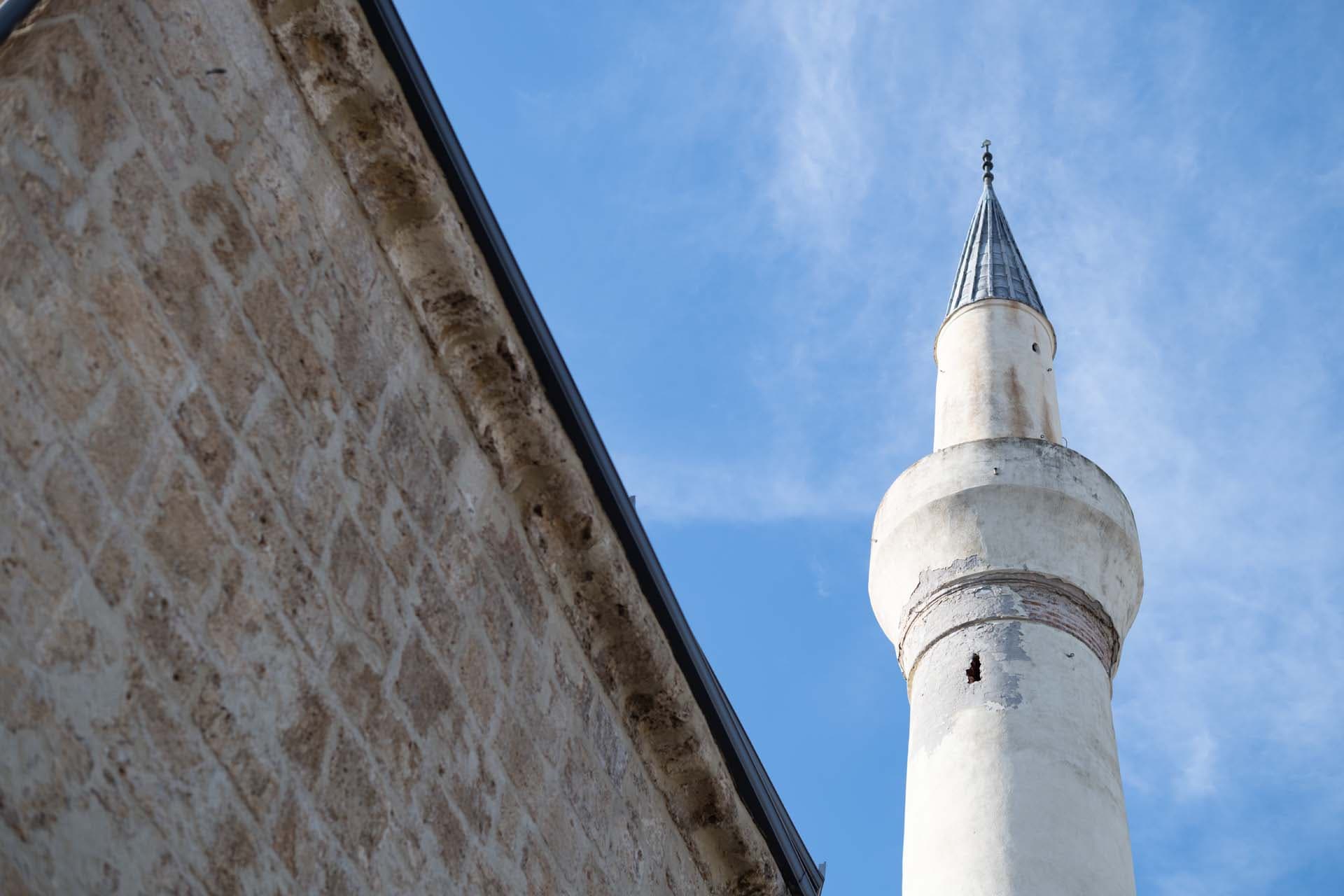 Alt text not provided