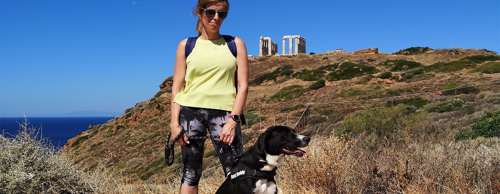 Essentials of Travelling to Greece with your Pet