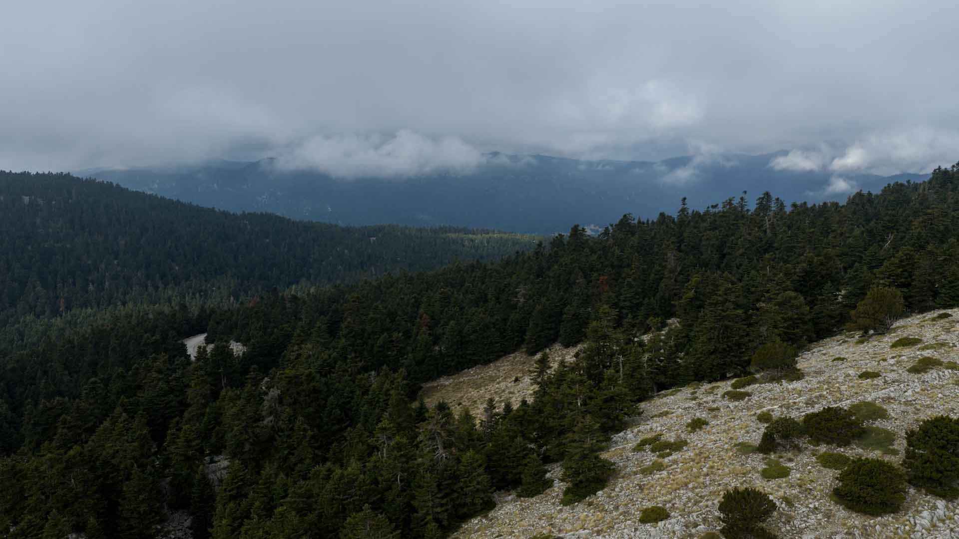 Alt text not provided