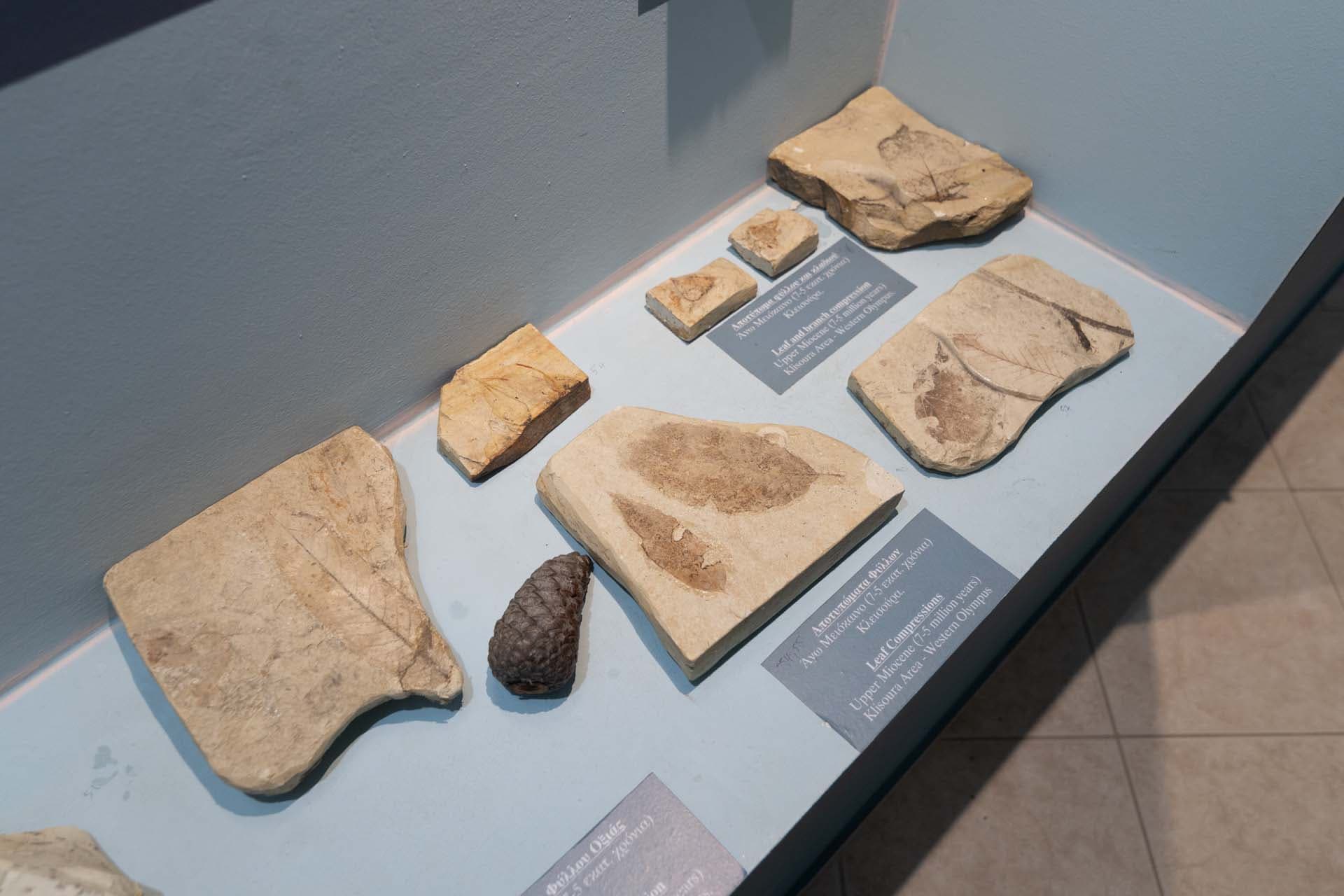 Alt text not provided