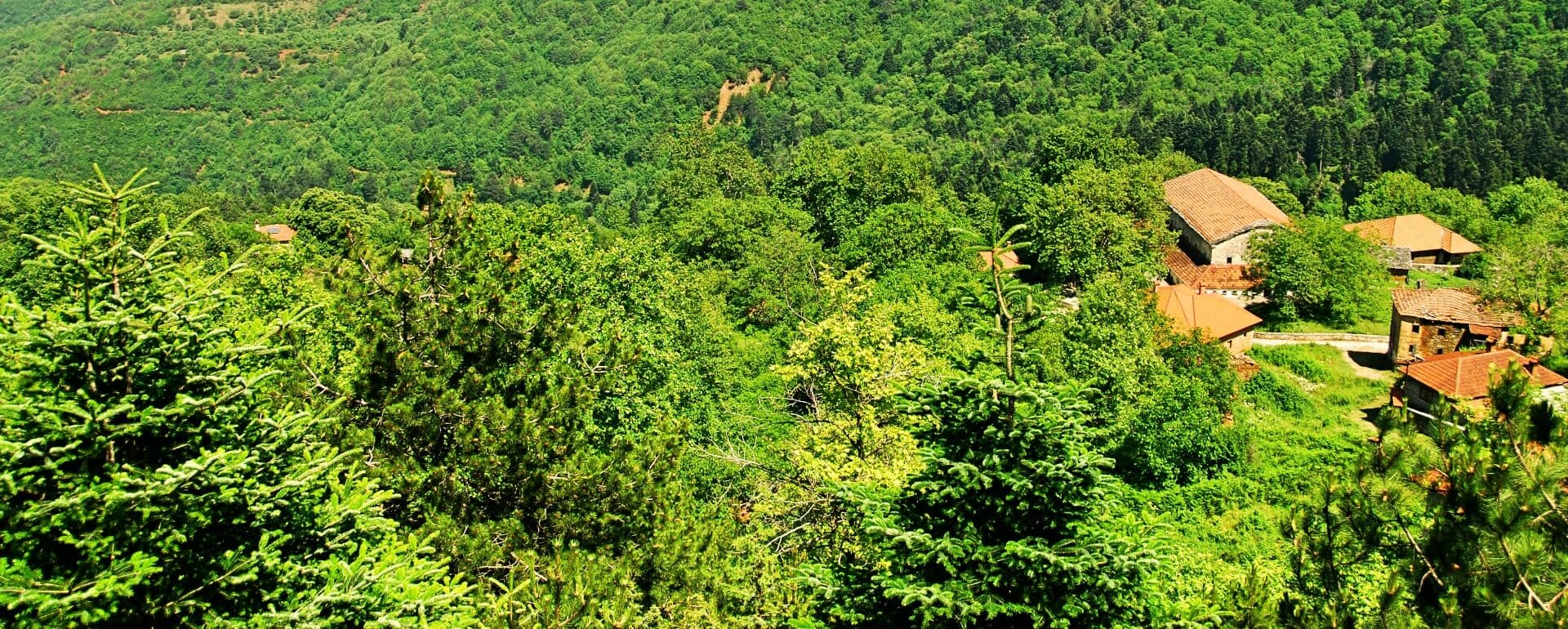 Villages on Mt Olympus