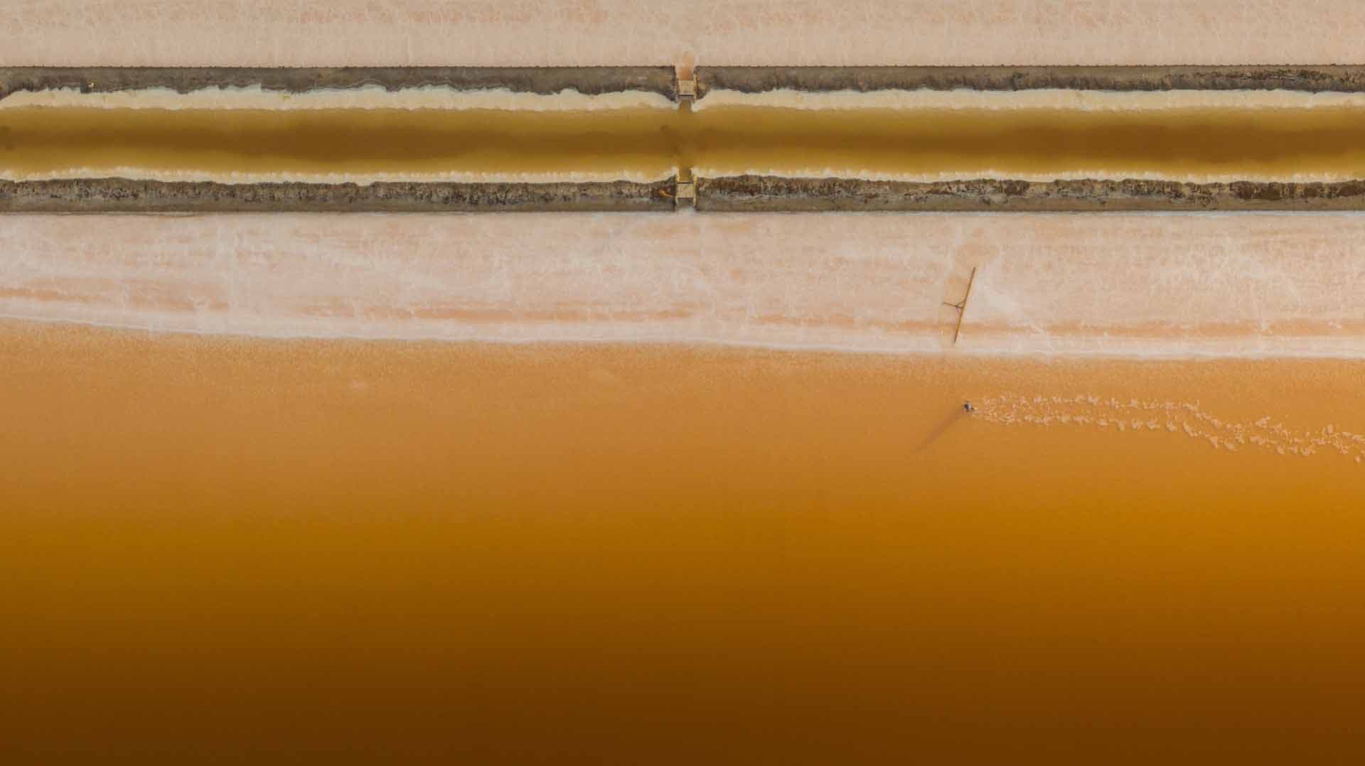 Alt text not provided