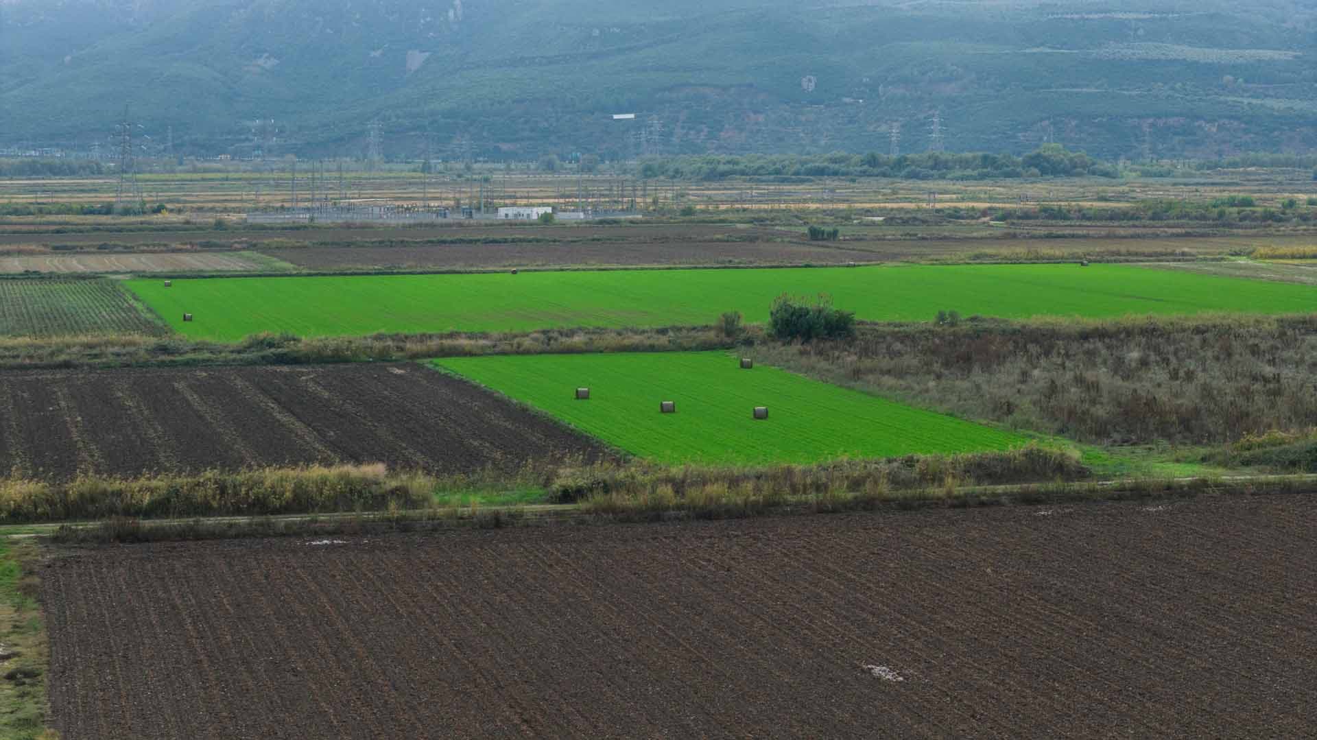 Alt text not provided