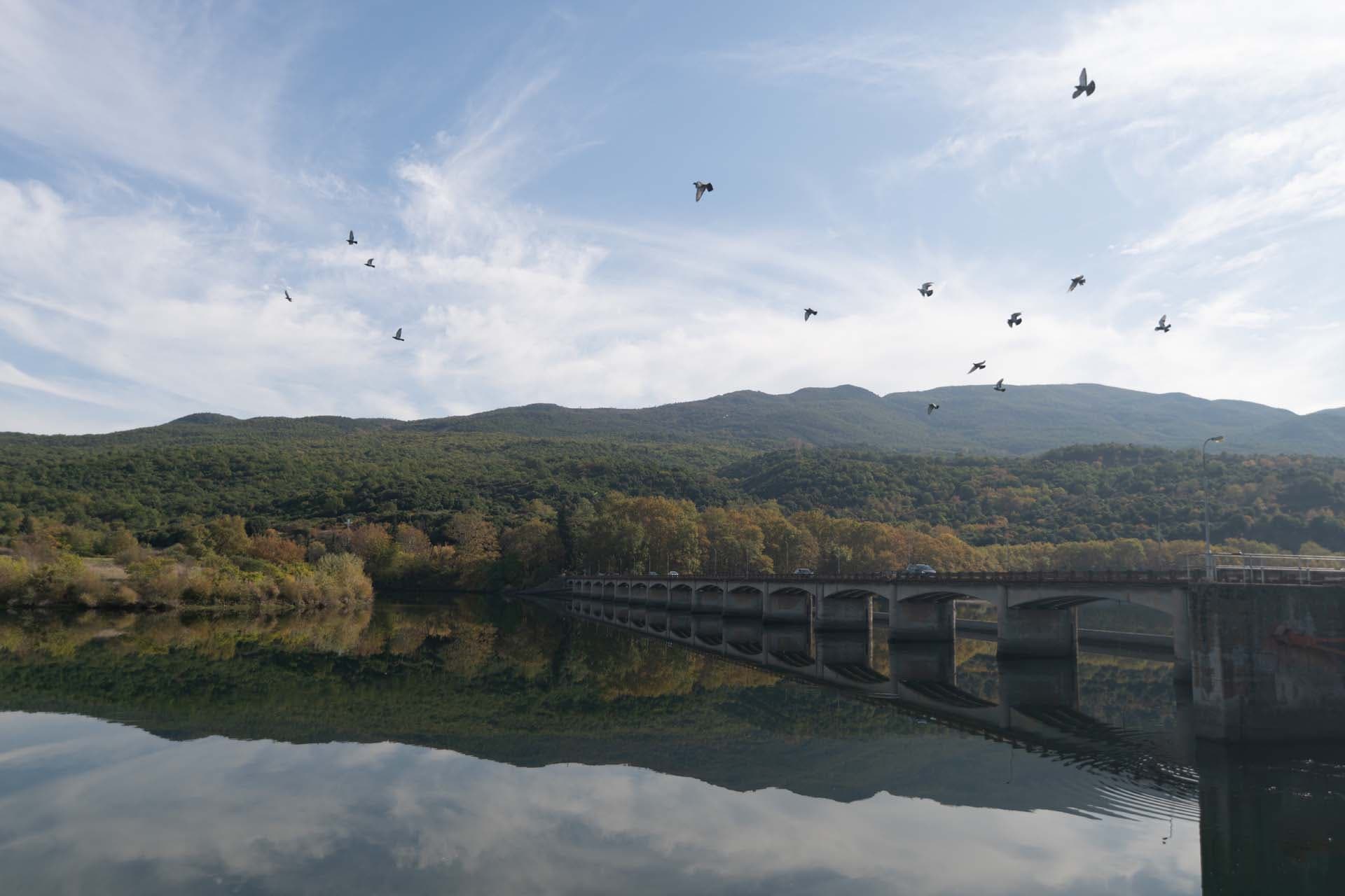 Alt text not provided