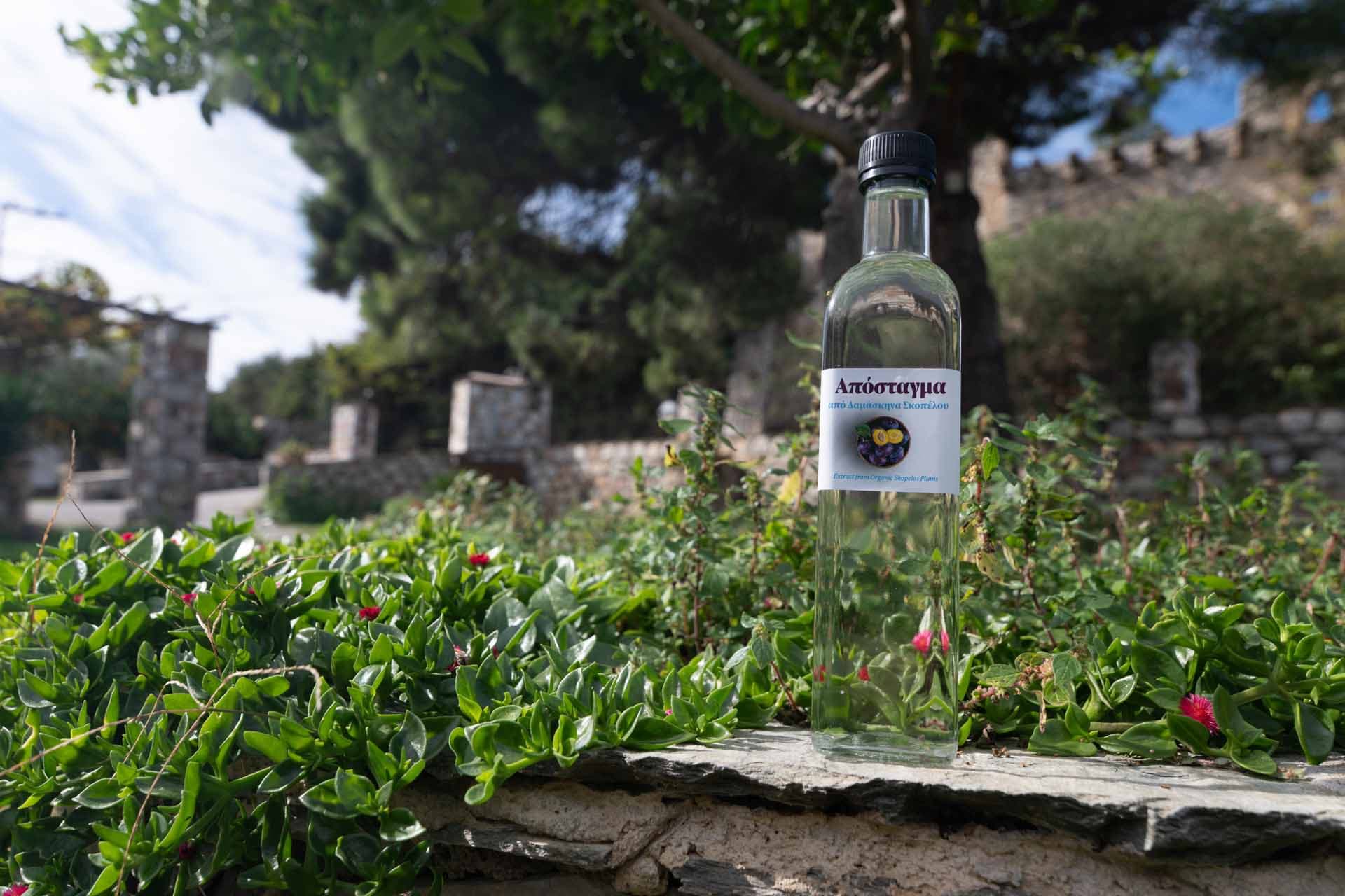 Alt text not provided