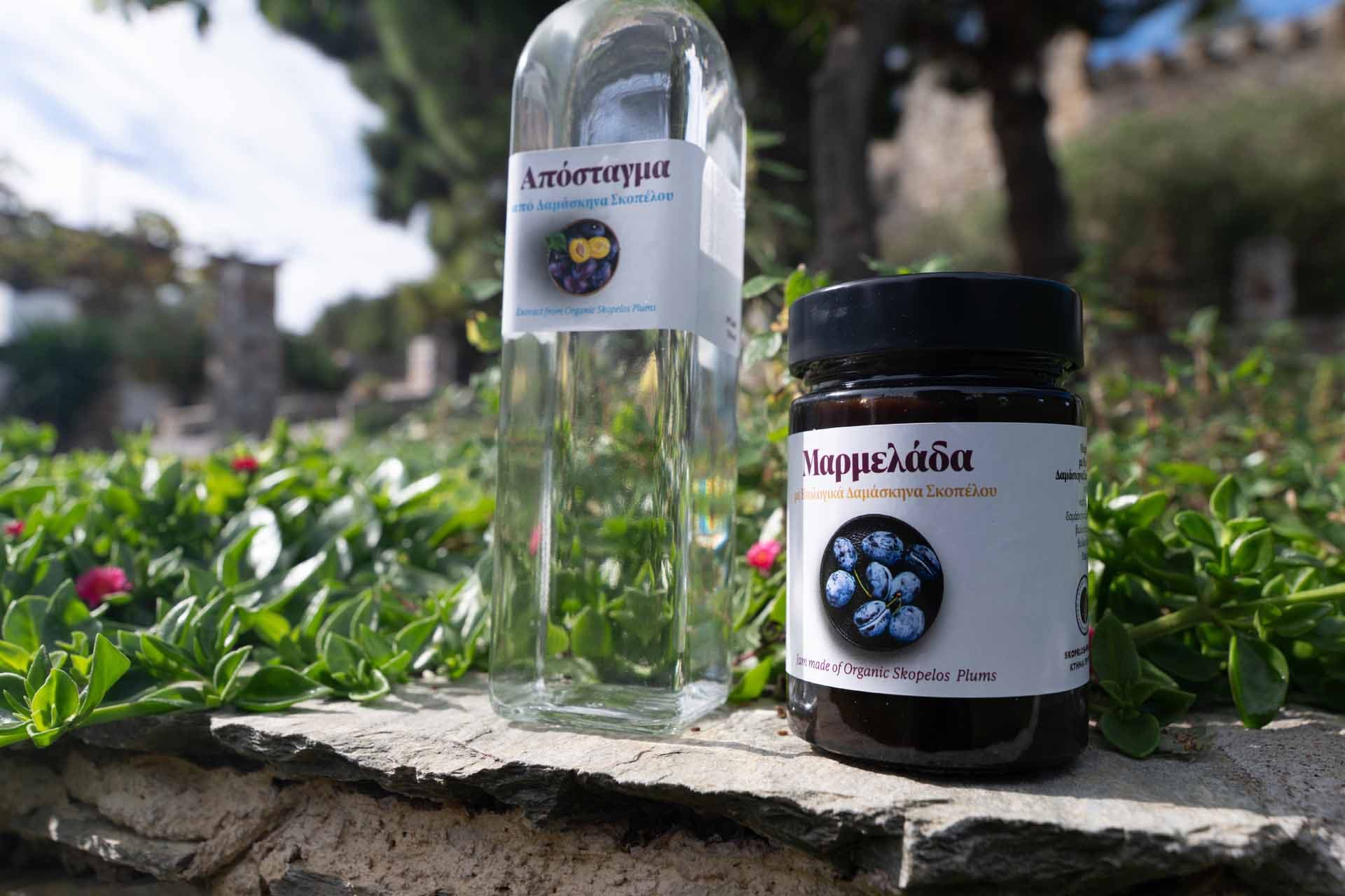 Alt text not provided