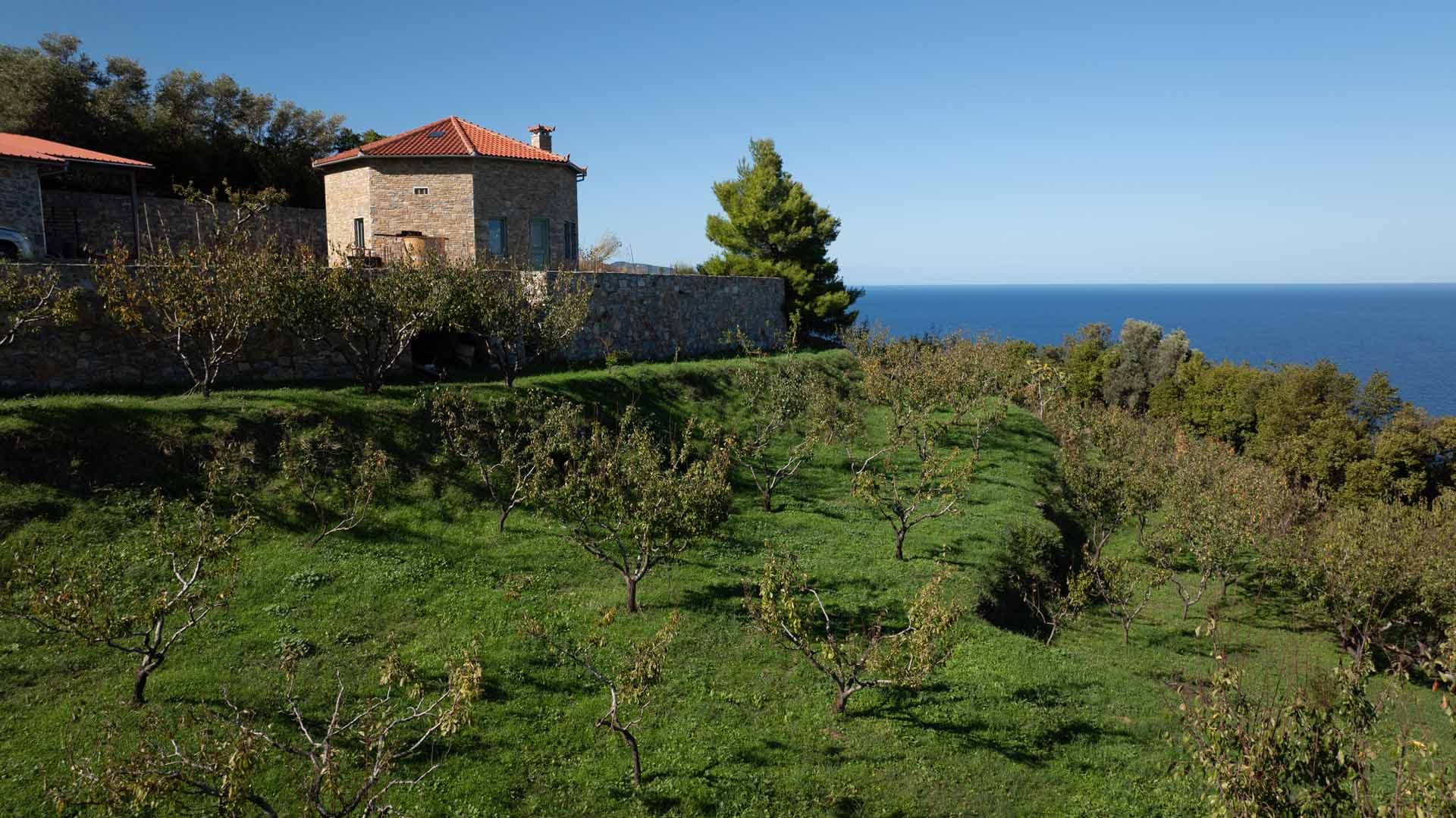 Alt text not provided