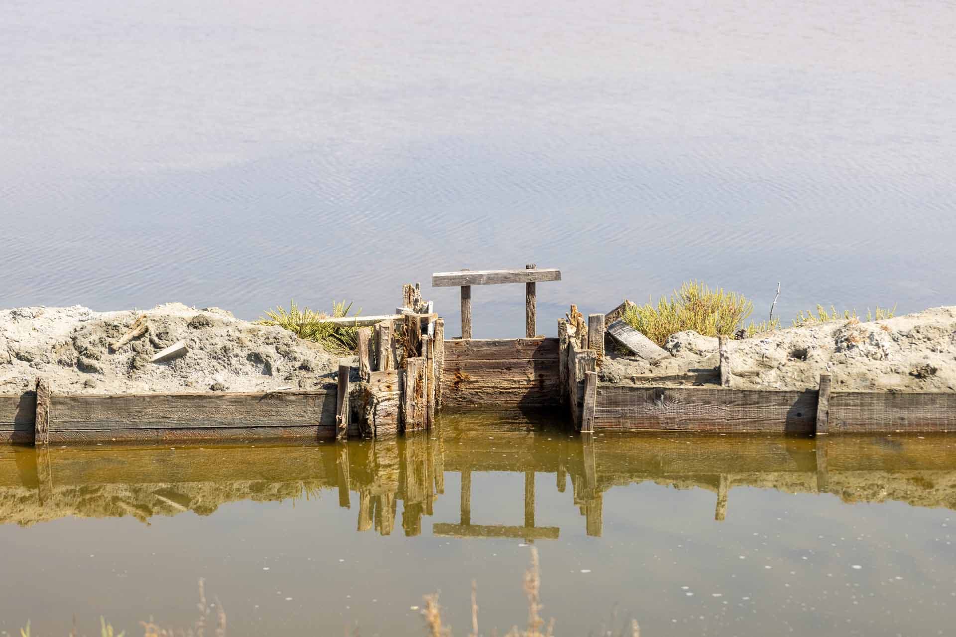 Alt text not provided