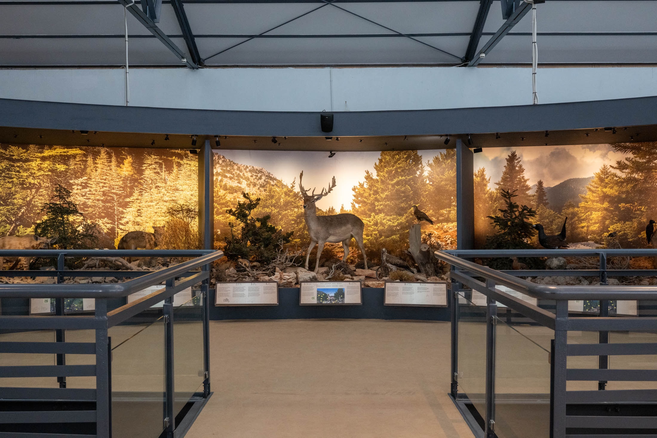 Natural History Museum of Crete