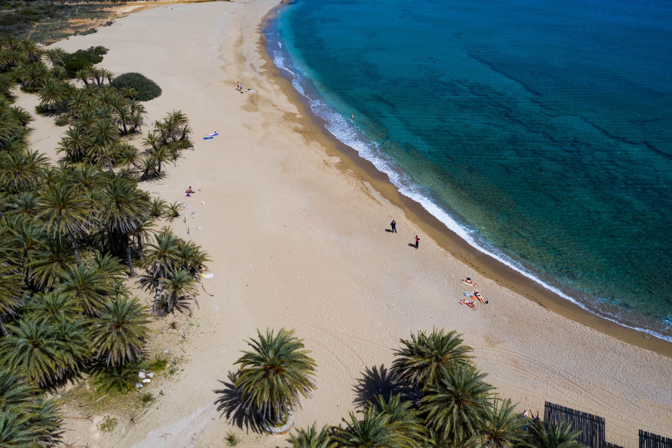 Vai Palm Forest and Ancient Itanos