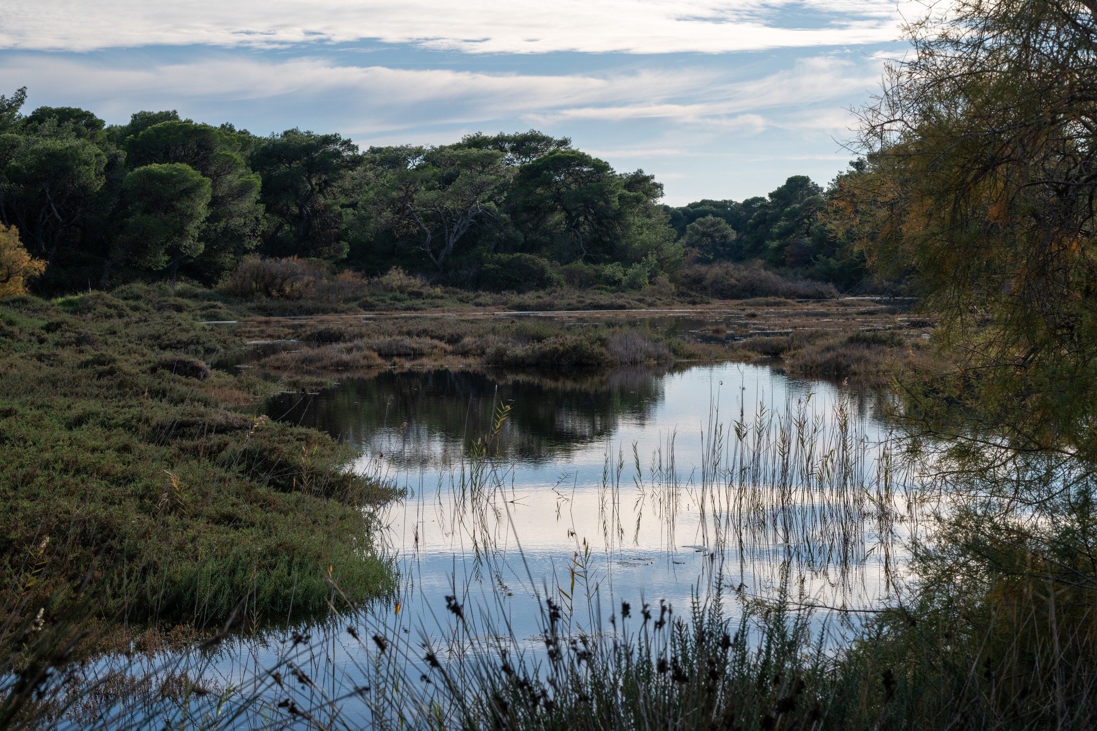 Schinias-Marathon National Park