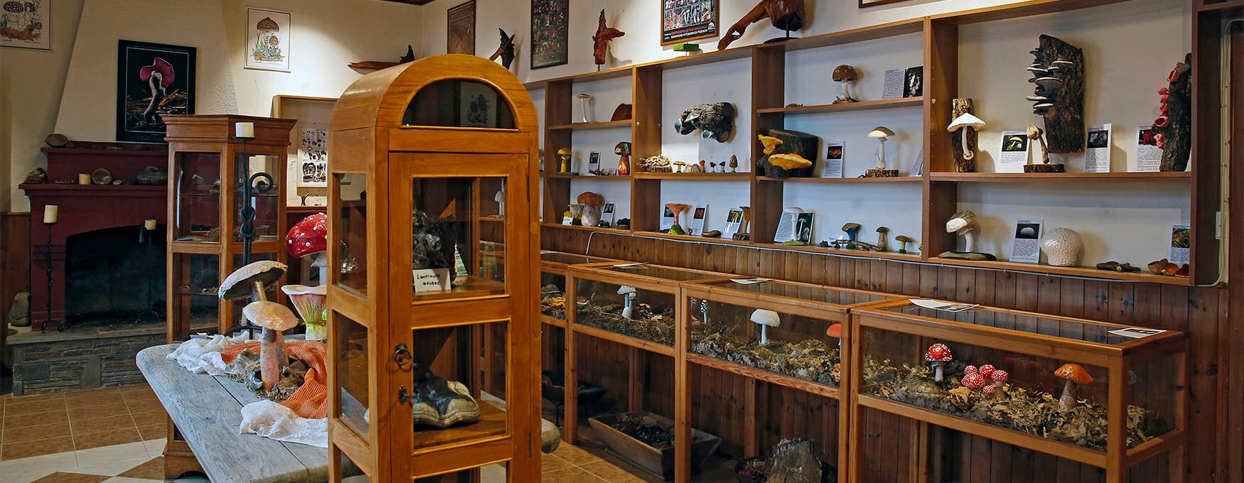 The Museums of Grevena