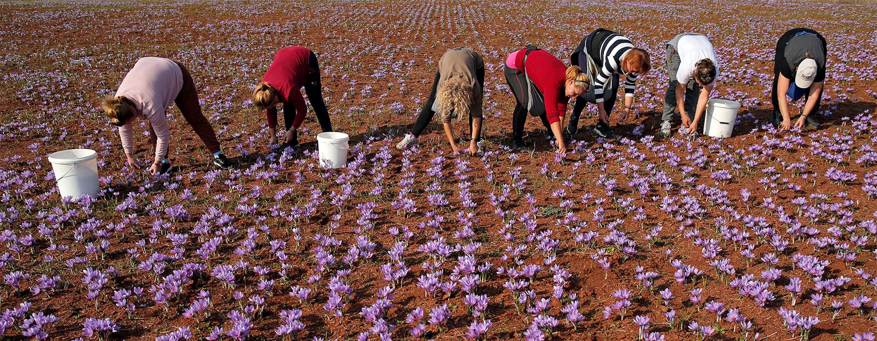 Local Products of Kozani