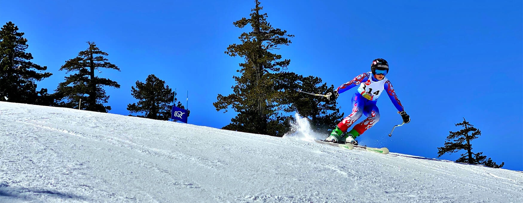 Activities in Grevena