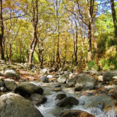 Hiking around Steni village in Evia