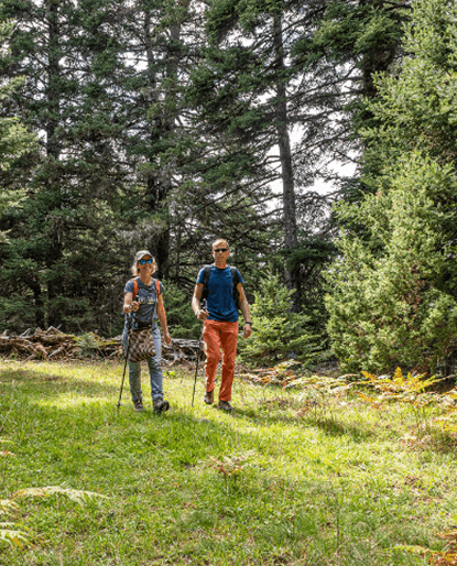 Parnassos National Park