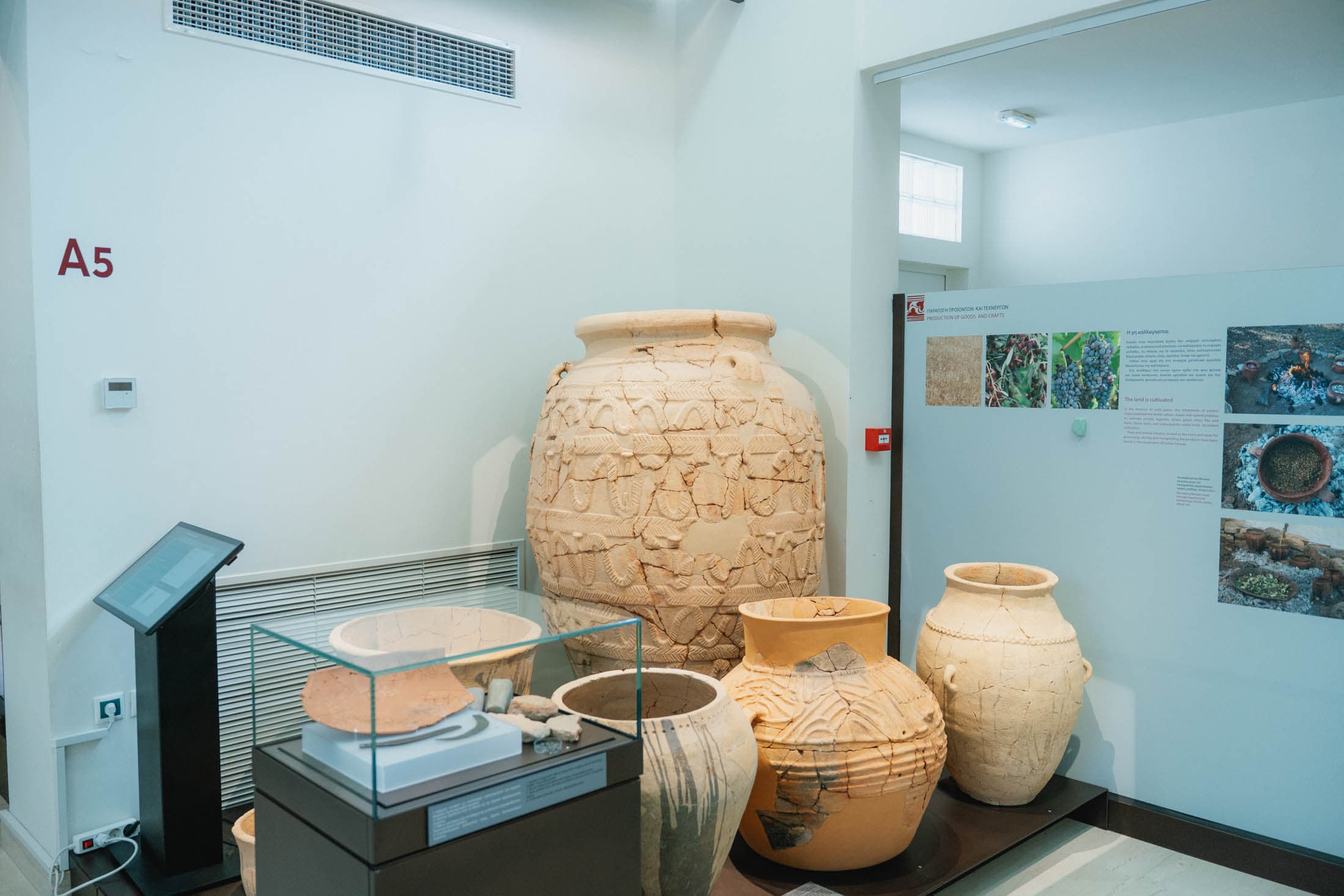 Alt text not provided