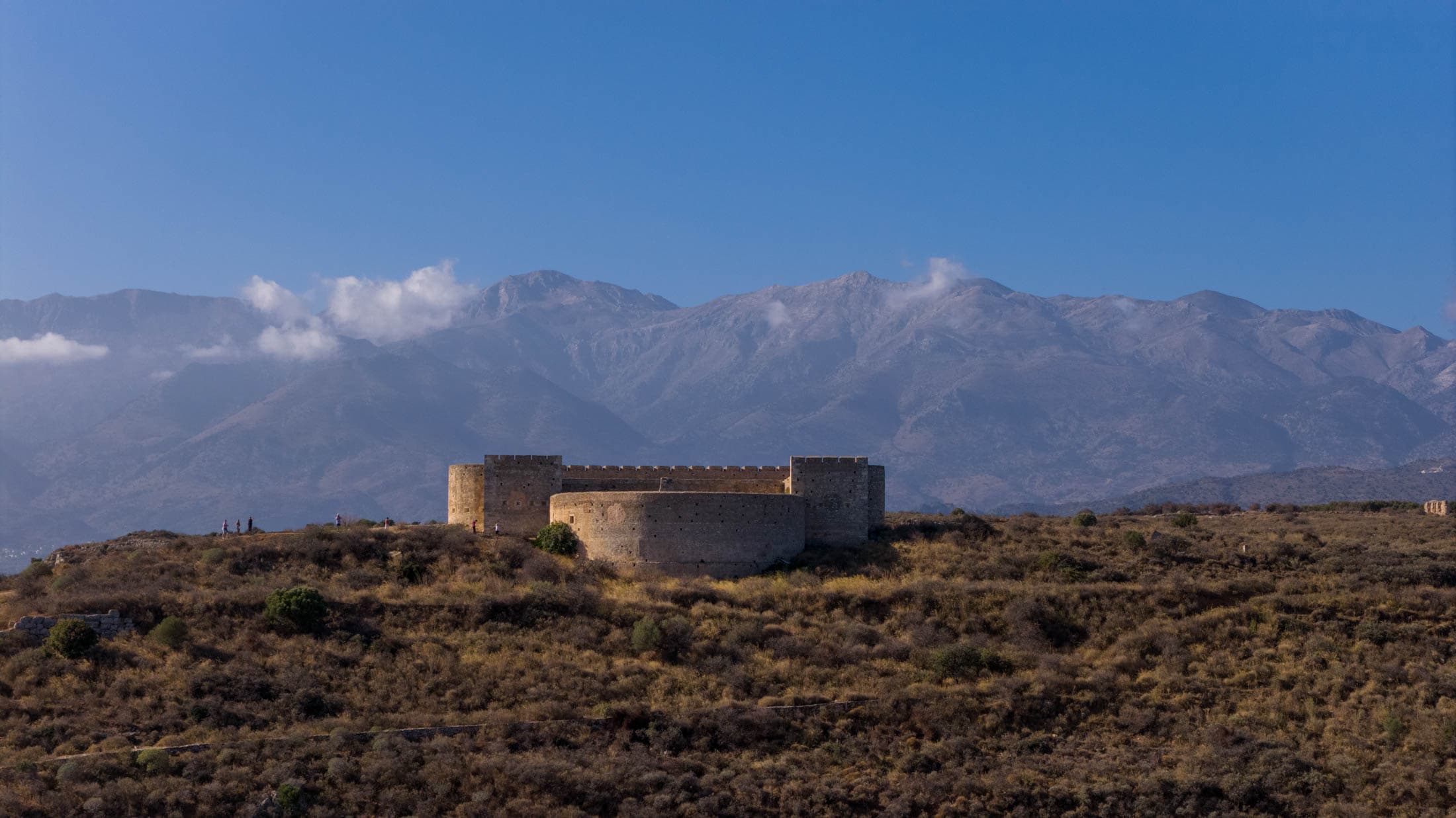 Alt text not provided