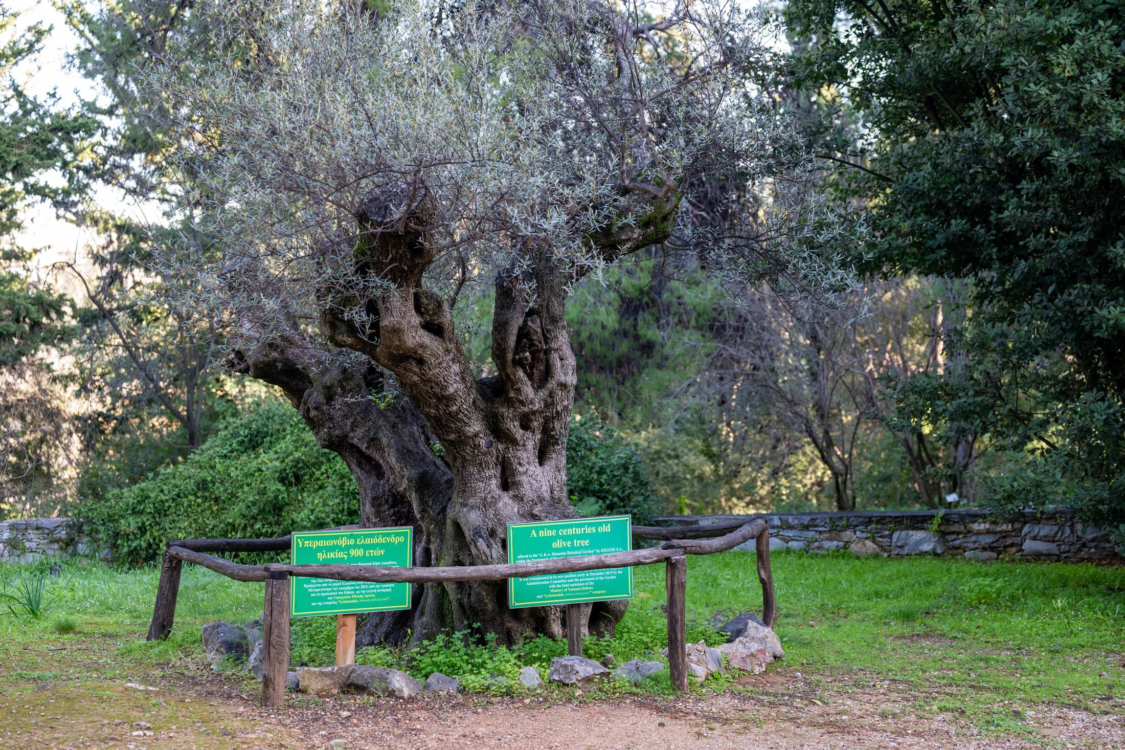 Alt text not provided