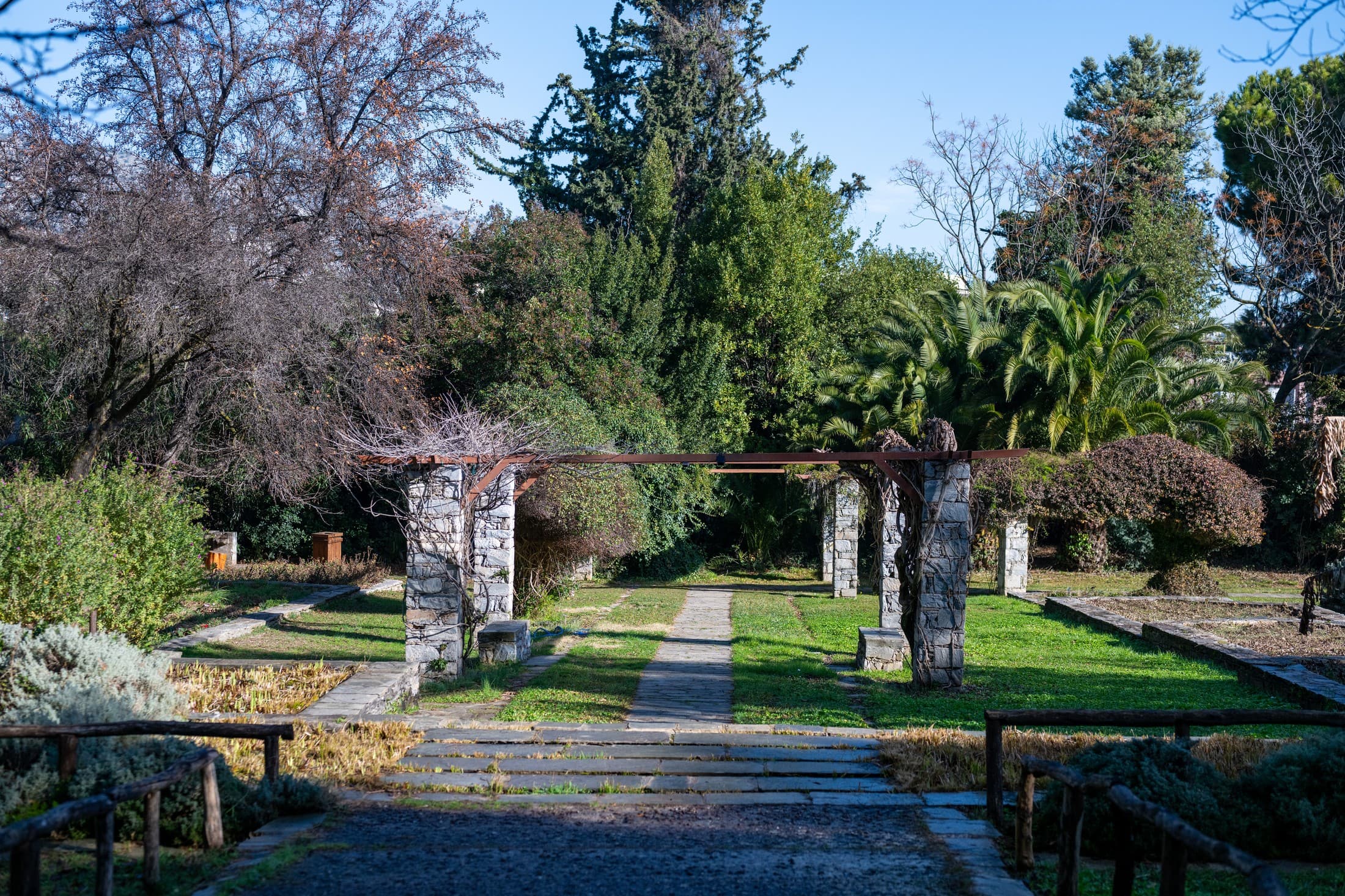 Alt text not provided