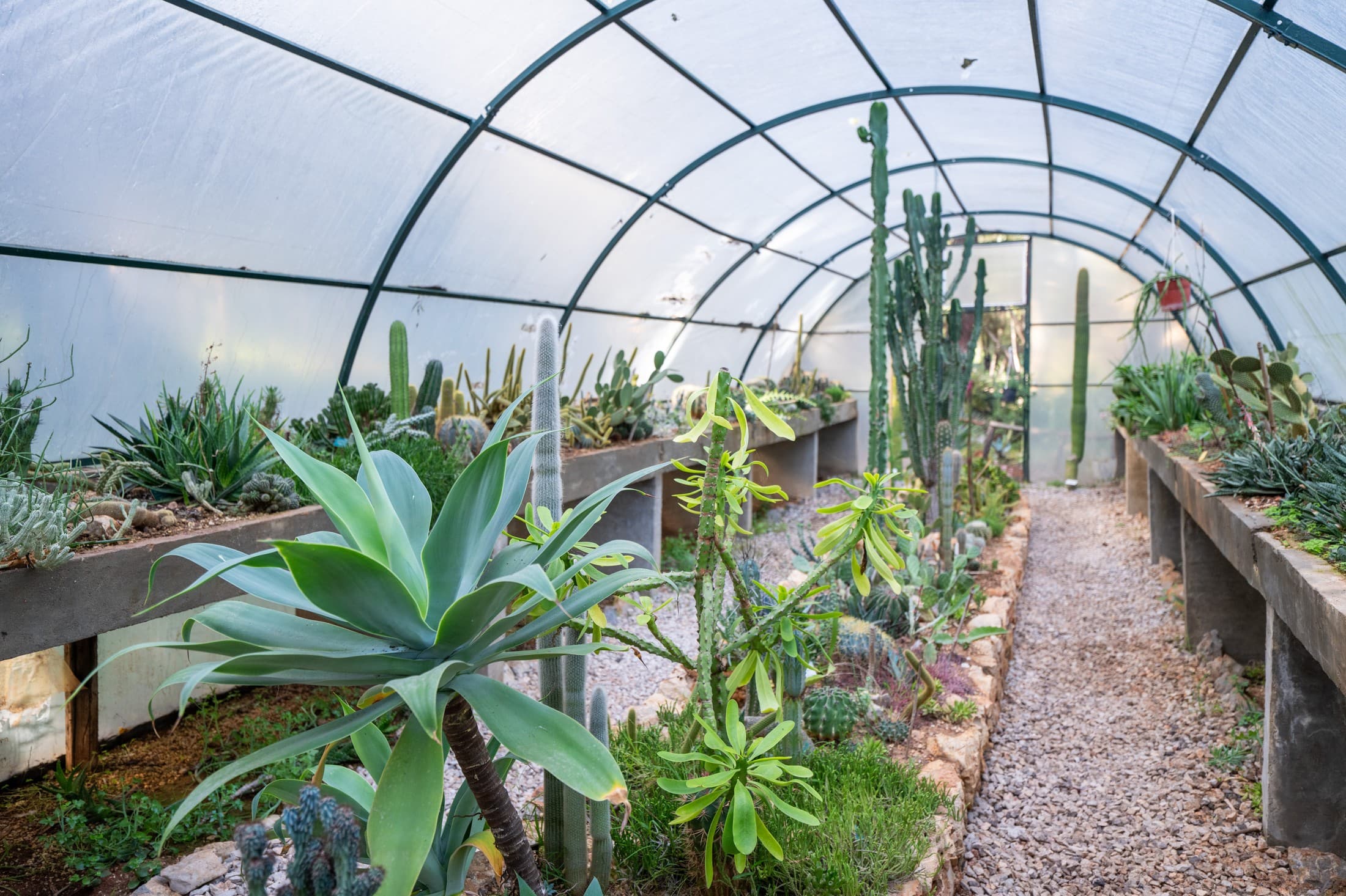 Alt text not provided