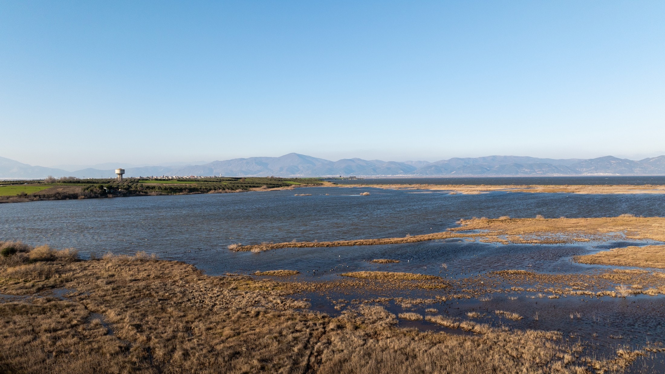Birdwatching by the Lake Vistonida