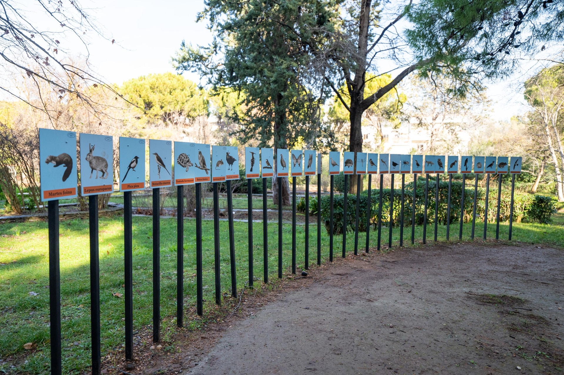 Botanical Garden of Julia and Alexander N. Diomedes