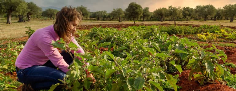 Agritourism
