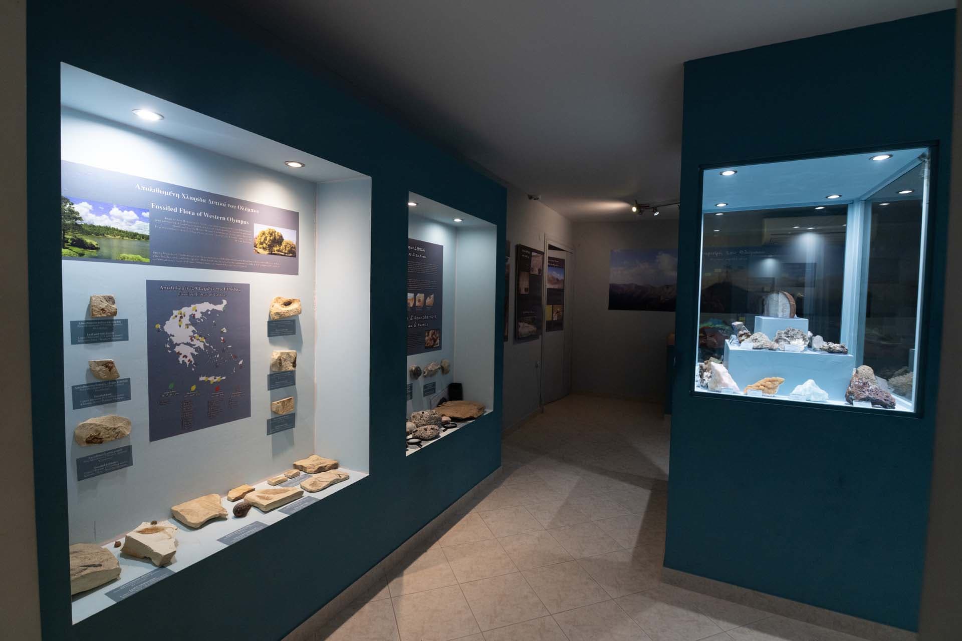 museum-of-geological-history-of-mt-olympus