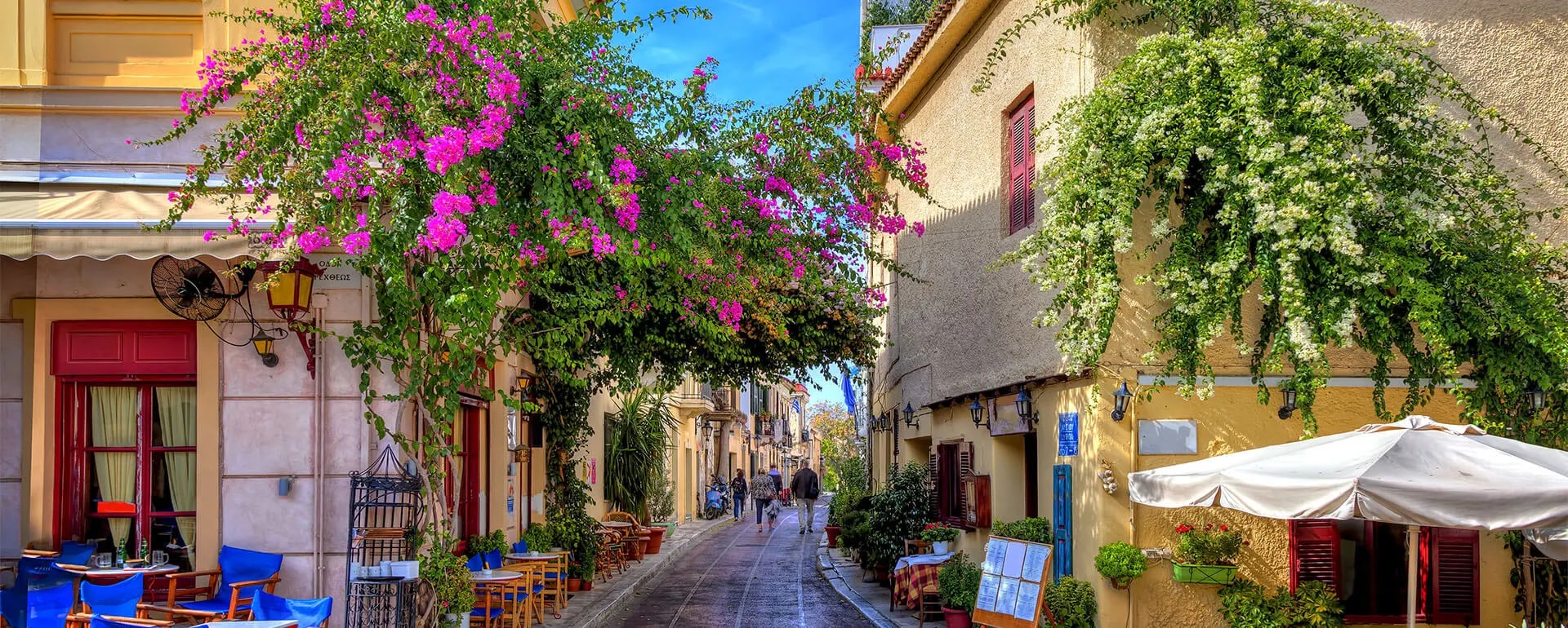 Greek Travel Blossoms