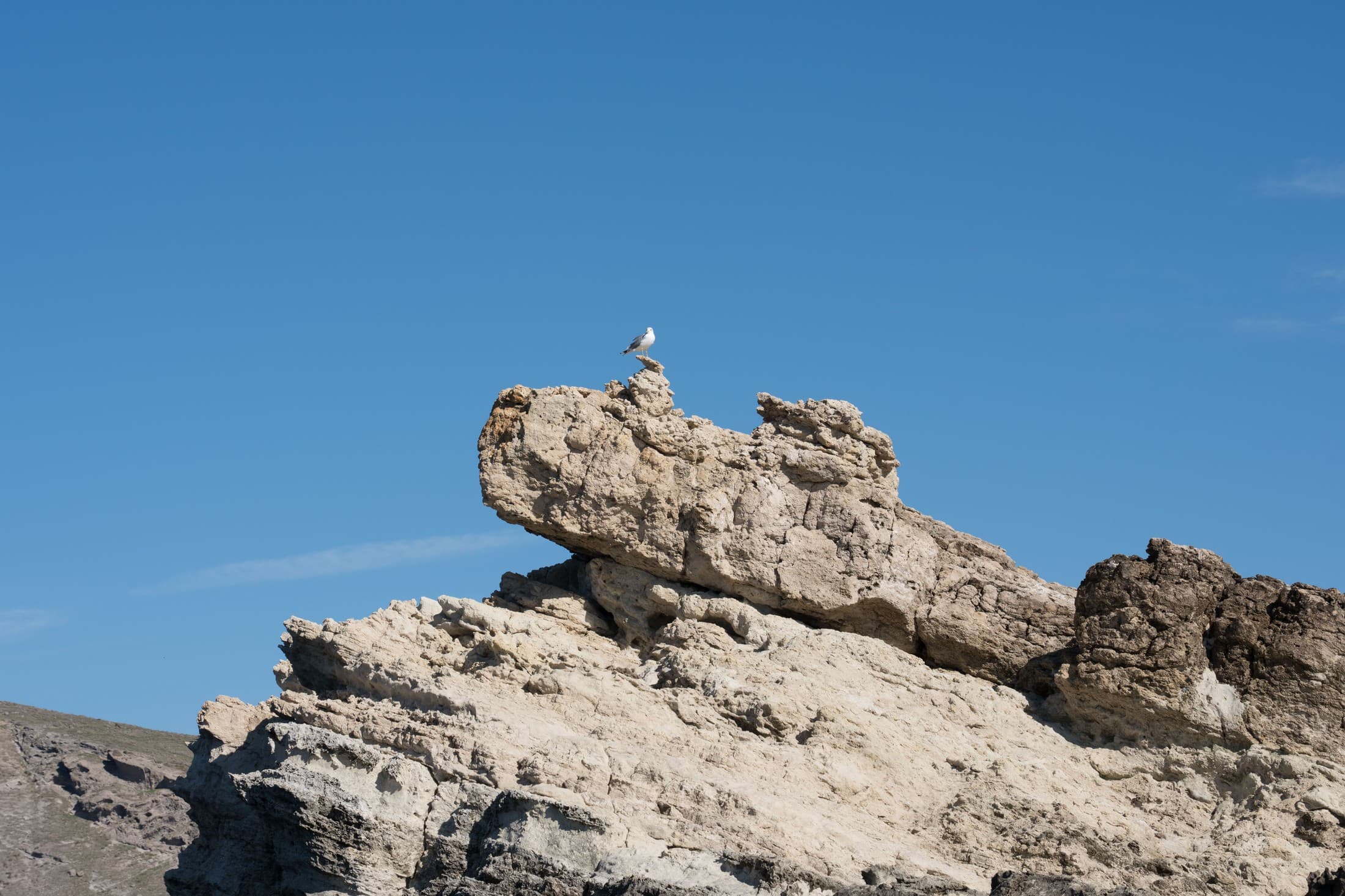 Alt text not provided