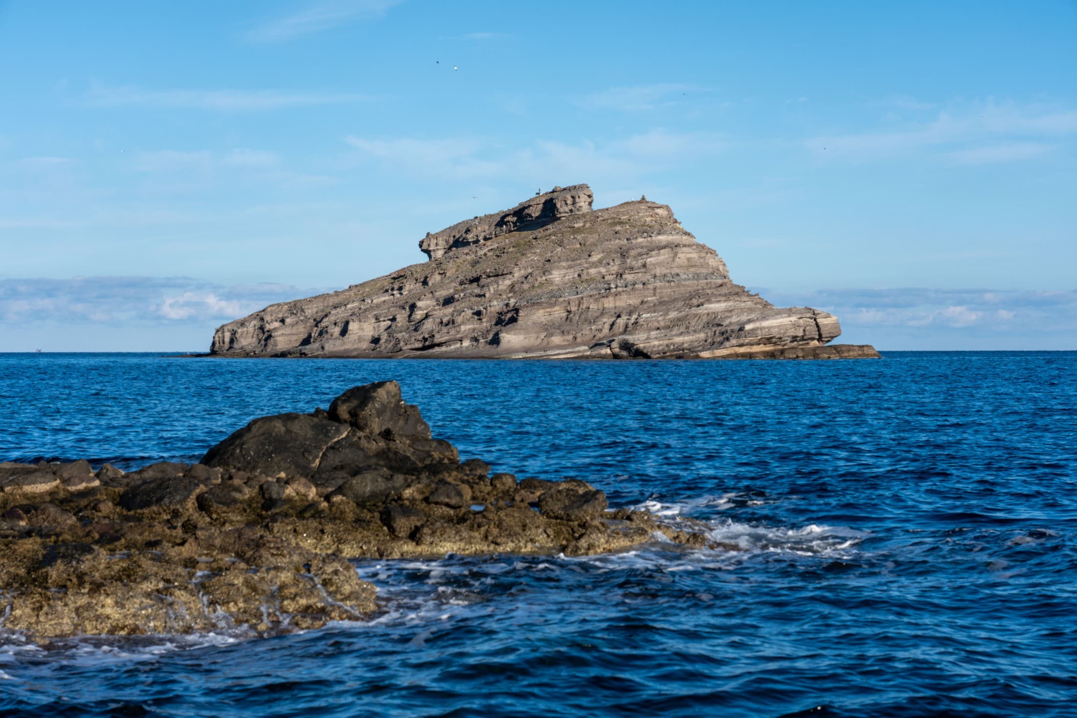 Alt text not provided