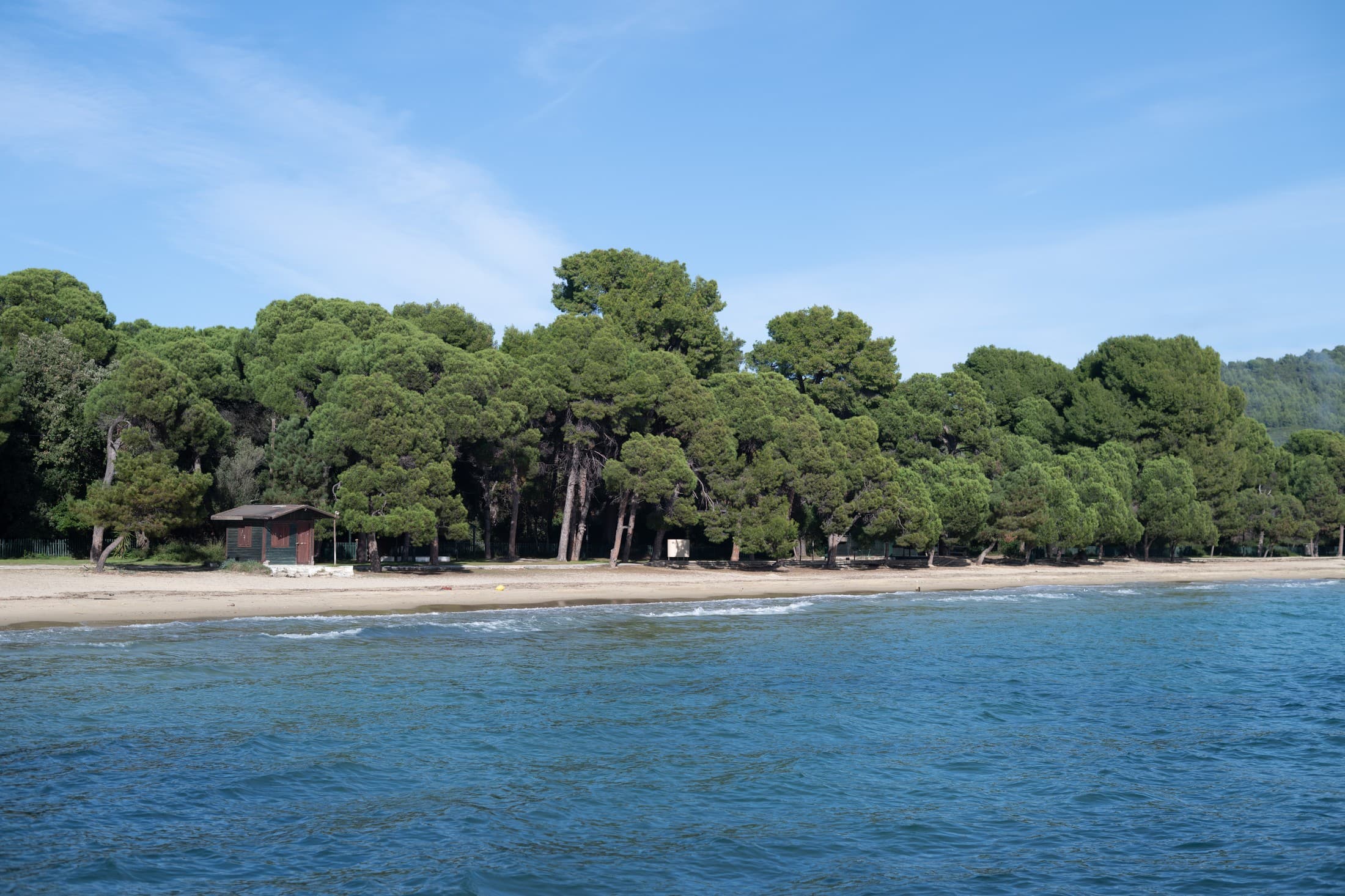 Alt text not provided