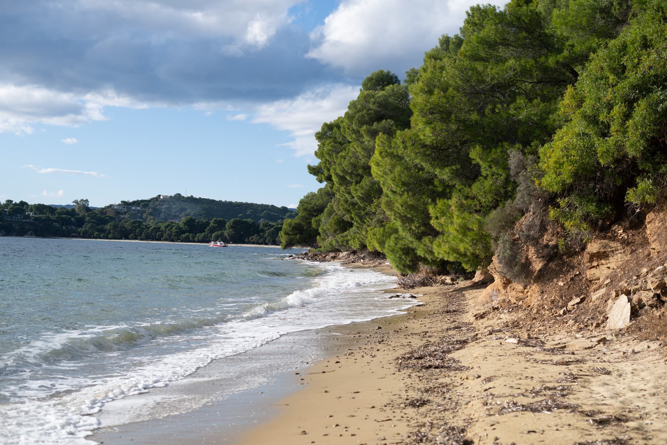 Alt text not provided