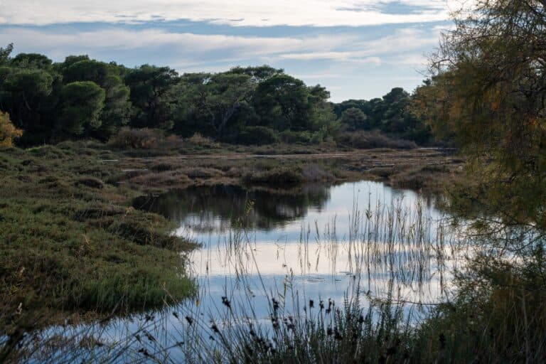 Parco Nazionale di Schinias–Maratona