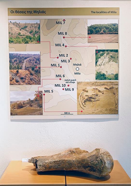 Alt text not provided