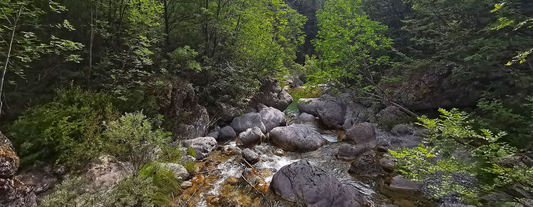 Mountaineering on Olympus