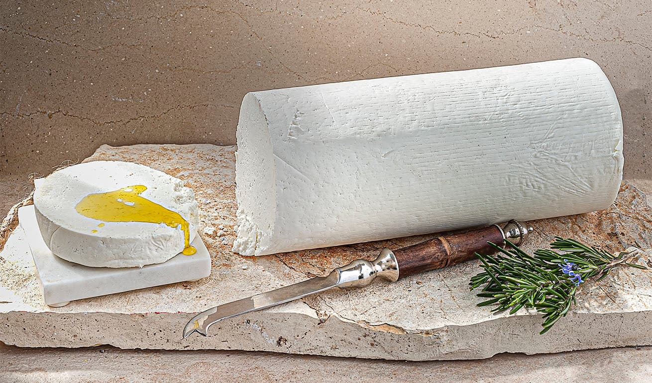 Alt text not provided