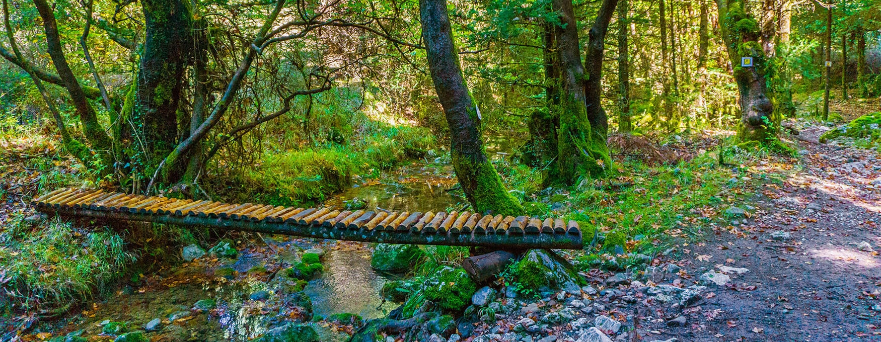 Explore Mainalo Trail