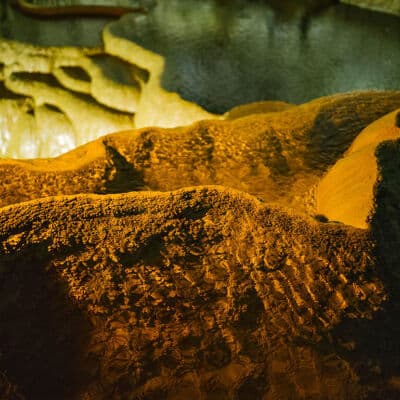 Alt text not provided