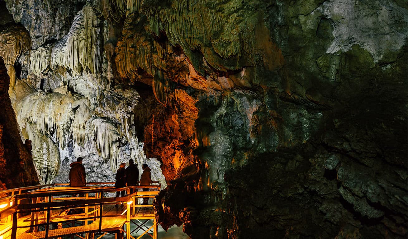 Alt text not provided