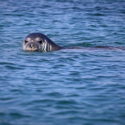 Marine & Zoological Parks in Greece