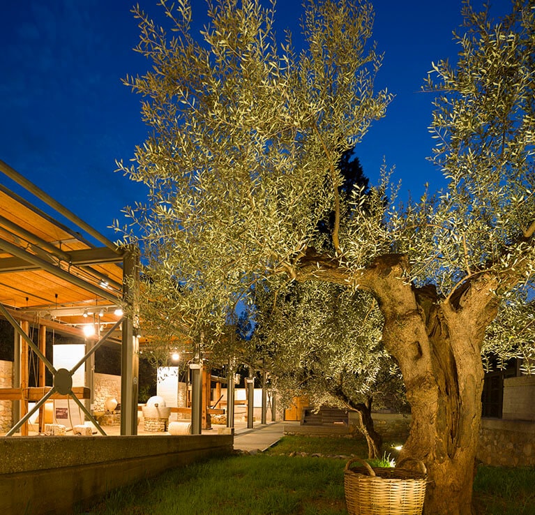 Olive Oil Museums around Greece